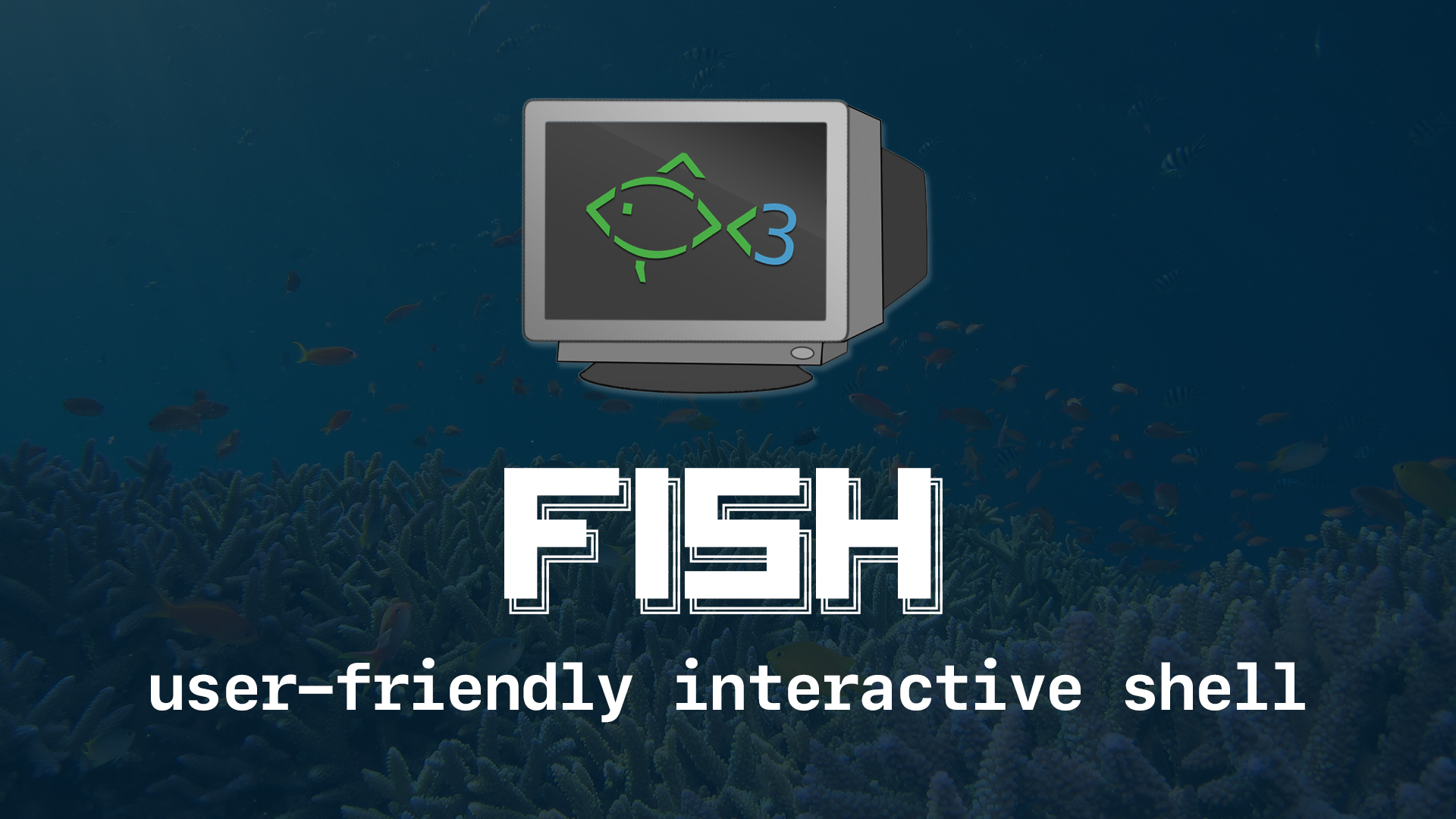 Set up fish, the user-friendly interactive shell